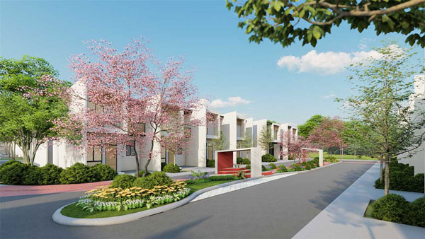 Courtyard-Cherry-Grove